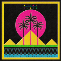 Consort - Blaqk Audio