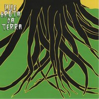 Planta Que Brota da Terra - Planta e Raiz