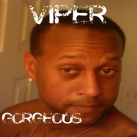 Forever Hood Deep - Viper