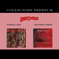 Desert Storm - Birth Control