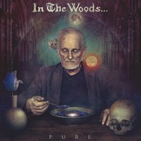 The Cave of Dreams - In The Woods...