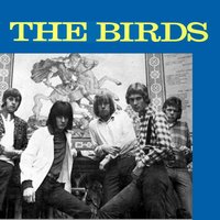 Good Times - The Birds