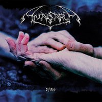 Final Goodbye - Anasarca
