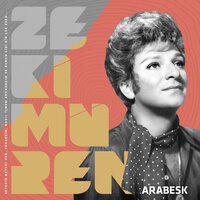 Beterin Beteri Var - Zeki Müren