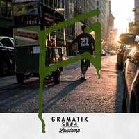 Party Or Something - Gramatik