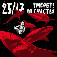 Гроб - 25/17