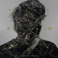 Silicon Valley - Bertrand Cantat