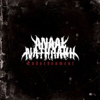 Singularity - Anaal Nathrakh