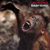 Wave Your Hands - Babybird, Stephen Jones, Luke Scott