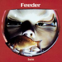 Swim - Feeder