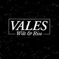 Waterfalls - Vales