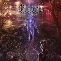 Lucid Collective Somnambulation - Archspire