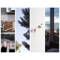 Compass - Counterparts