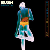 The Kingdom - Bush