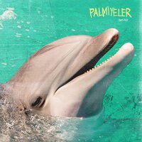 Orman - Palmiyeler
