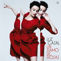 Capítulo acabado - Luz Casal