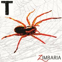 Baciu 'Nvelenatu - Zimbaria