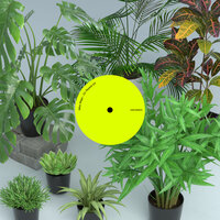 Sun Keeps Rising Up - Mike Mago, Jodie Abacus