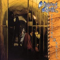 Birth`s End - Mortuary Drape