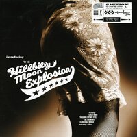 Johnny Are You Gay? - The Hillbilly Moon Explosion