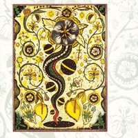 CCKMP - Steve Earle