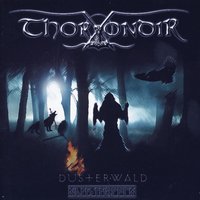 Düsterwald - Thorondir