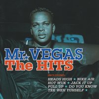 Tek Weh Yuhself - Mr. Vegas