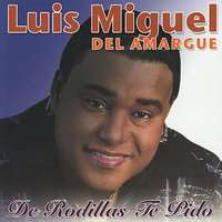 Bala Perdida - luis miguel del amargue