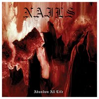 Wide Open Wound - Nails