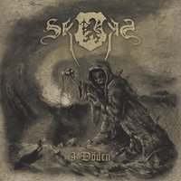 Midvintergraven - Skogen