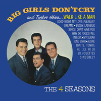One Song - The Four Seasons