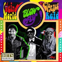 Convoy - Blowfly