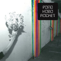 Aloneaflameaflower - Pond