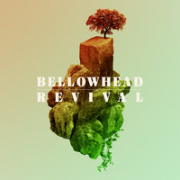 Moon Kittens - Bellowhead