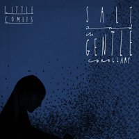 Early Retirement - Little Comets