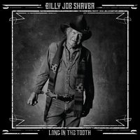 The Git Go - Billy Joe Shaver