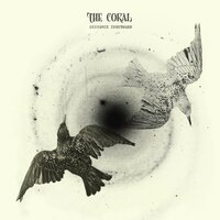 Connector - The Coral