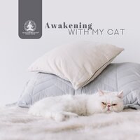 Relaxation Meditation Songs Divine