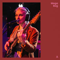 Left Door - Mega Bog
