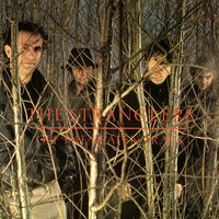 Vietnamerica - The Stranglers