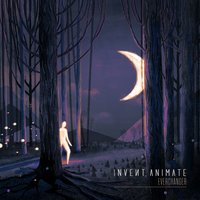 Native Intellect - Invent Animate