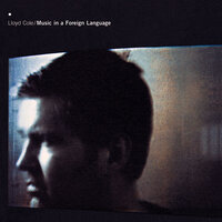 Shelf Life - Lloyd Cole