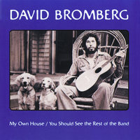 Spanish Johnny - David Bromberg