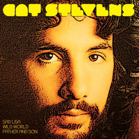 Bad Brakes - Cat Stevens