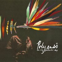 Counting Fish - Polyenso