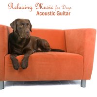 Turn Turn Turn - Acoustic Guitar Songs