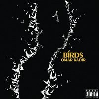 Birds - Omar Kadir