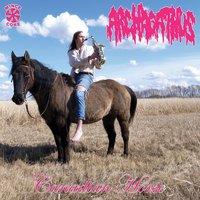 Das Monkey - Archagathus