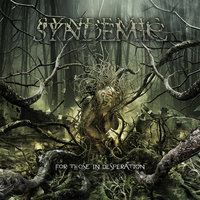 Silent Wrath - Syndemic