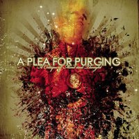 Sons of Vipers, How Will You Escape the Judgement of Hell - A Plea for Purging